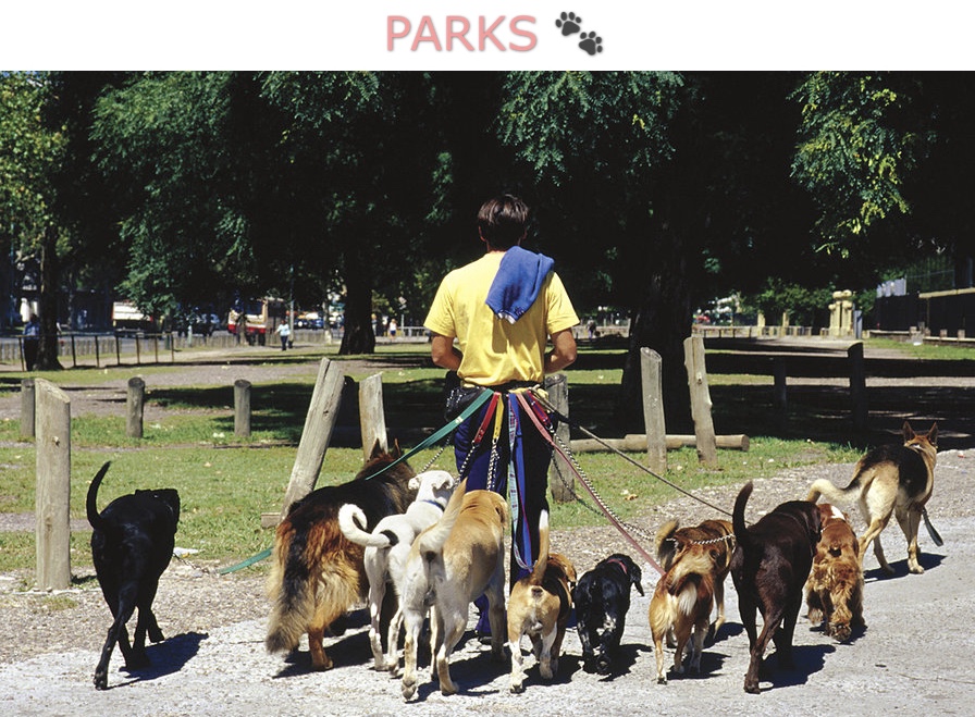 Pet Parks